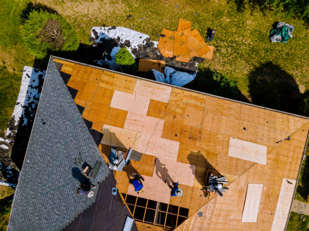 Gutter Installation and Roofing in Collegedale, TN