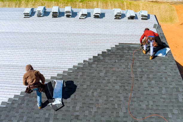 Best Metal Roofing Contractor  in Collegedale, TN