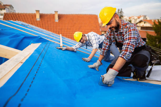 Best New Roof Installation  in Collegedale, TN