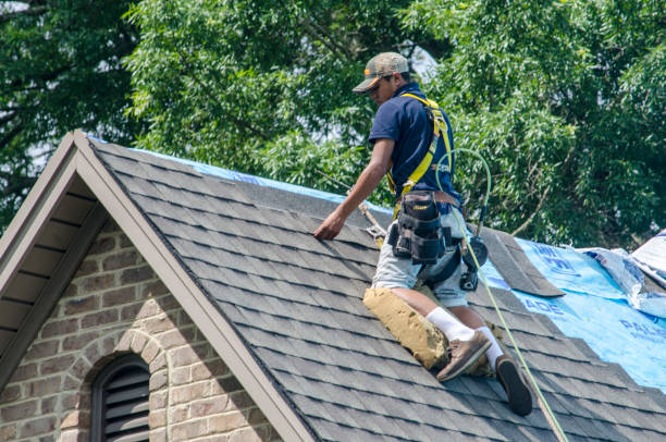 Best Shingle Roofing Installation  in Collegedale, TN